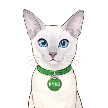 kyro