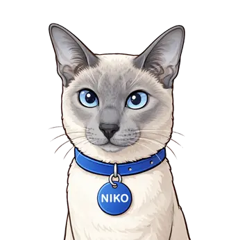 Niko