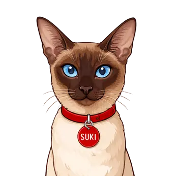 Suki